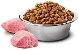 31dONzTCXKL._AC_ (2).webp