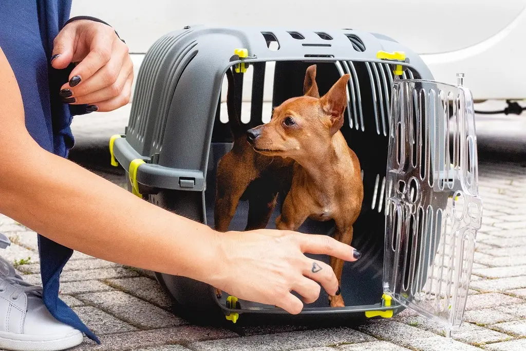 Ferplast Jet 20 Carrier for Cats and Small Dogs 37 x 57 x h 33 cm (3).webp