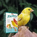 petsouq images (81).webp