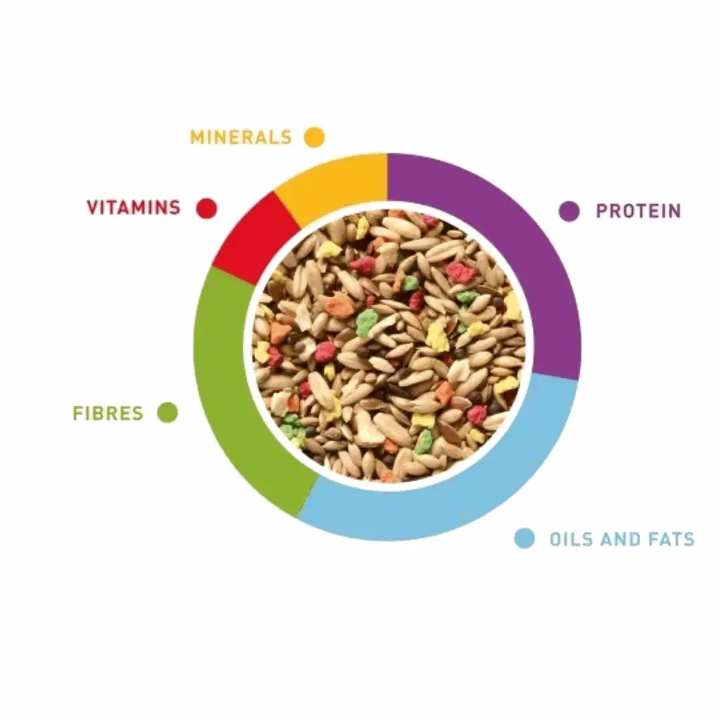 petsouq images (82).webp