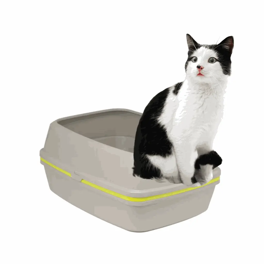 petsouq images (79).webp