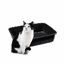 petsouq images (84).webp