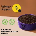 03-food-grain (1).webp