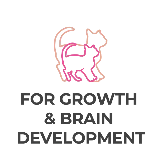 Untitled-3-07 (1).webp