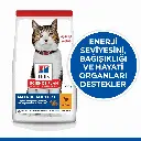 petsouq - 2025-07-14T130637.928.webp