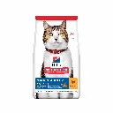 petsouq - 2025-07-14T130637.922.webp