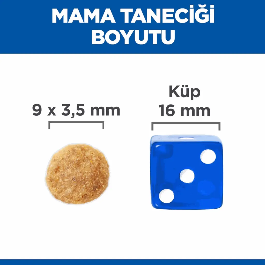 petsouq - 2025-07-14T130637.933.webp