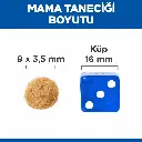 petsouq - 2025-07-14T130637.933.webp