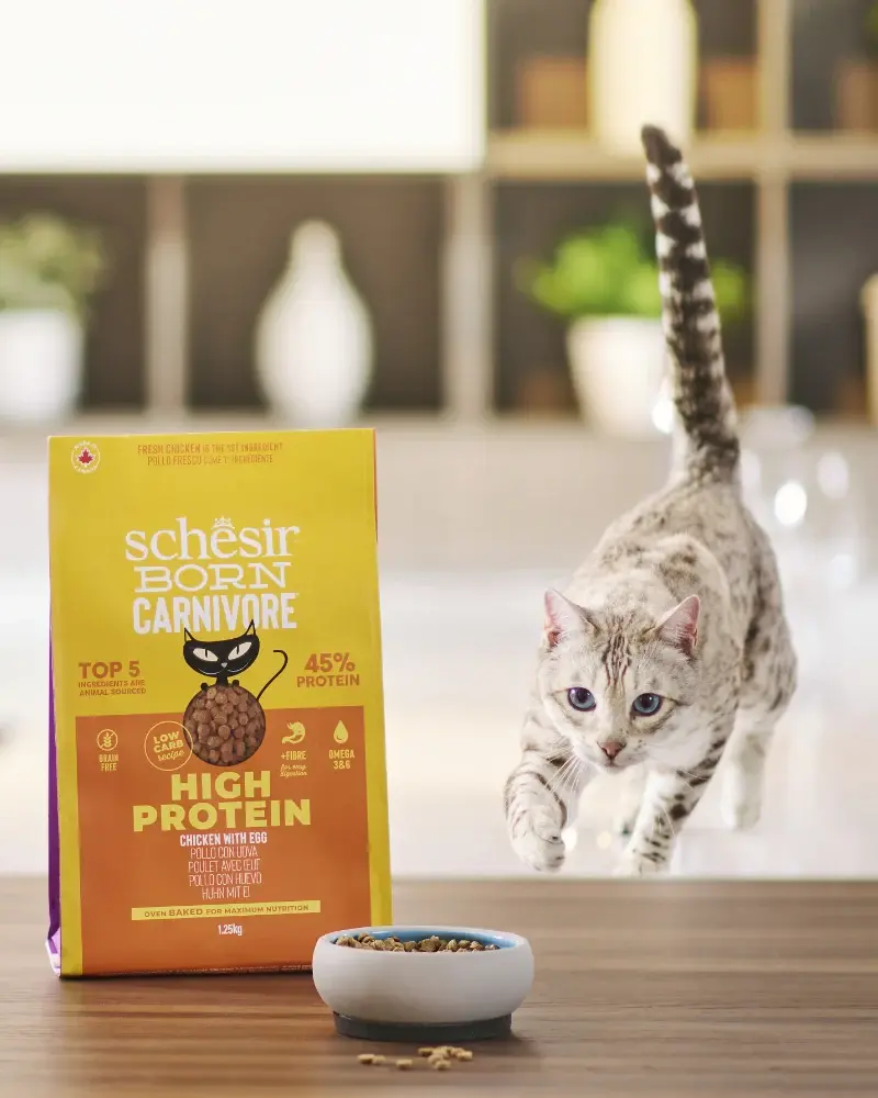 Schesir Born Carnivore Grain Free Oven Baked Dry Cat Chicken & Egg 1 (6).webp