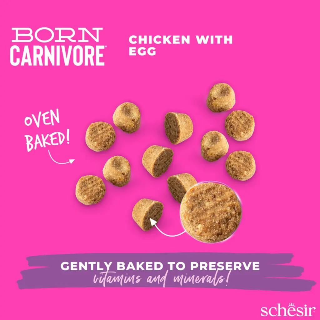 Schesir Born Carnivore Grain Free Oven Baked Dry Cat Chicken & Egg - Kitten 1 (3).webp