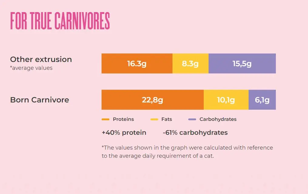 Schesir Born Carnivore Grain Free Oven Baked Dry Cat Chicken & Egg - Kitten 1 (5).webp