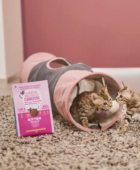 Schesir Born Carnivore Grain Free Oven Baked Dry Cat Chicken & Egg - Kitten 1 (6).webp