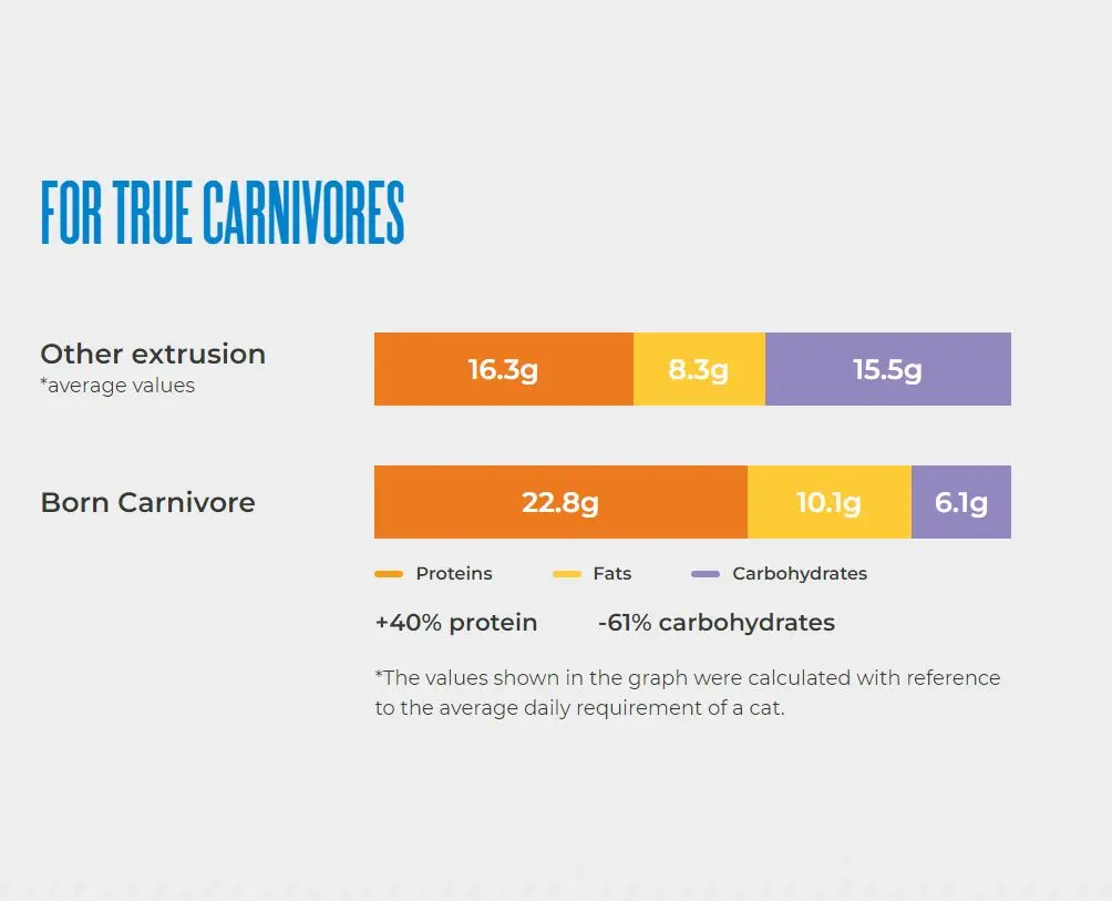 Schesir Born Carnivore Grain Free Oven Baked Dry Cat Herring & Salmon 1 (5).webp