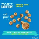 Schesir Born Carnivore Grain Free Oven Baked Dry Cat Herring & Salmon 1 (1).webp