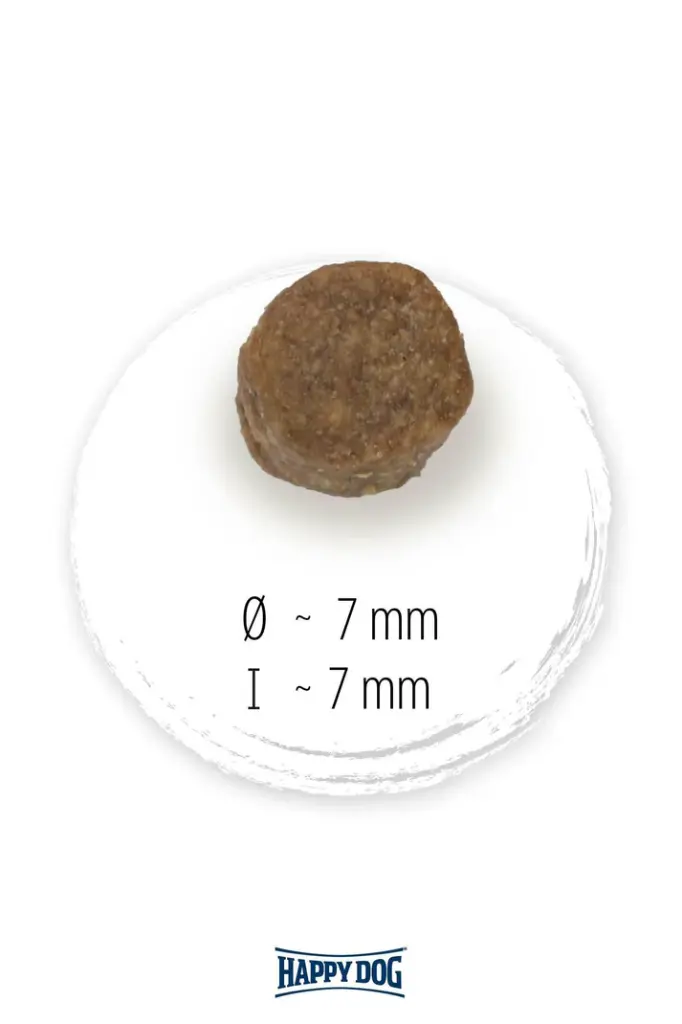 04_NC-Puppy-Krokette_int (2).webp