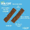 Schesir GF Dog Snacks Skin & Coat Jerky 115g - Salmon (1).webp