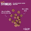 Schesir Dog Snacks Trainers Soft & Chewy 283g - Bacon (1).webp