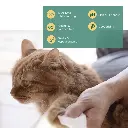 NurturePro AG+ Silver Pet Wet Wipes -Coconut (10 Sheets- Pack) - Min Order _ 6packs-Box (2).webp