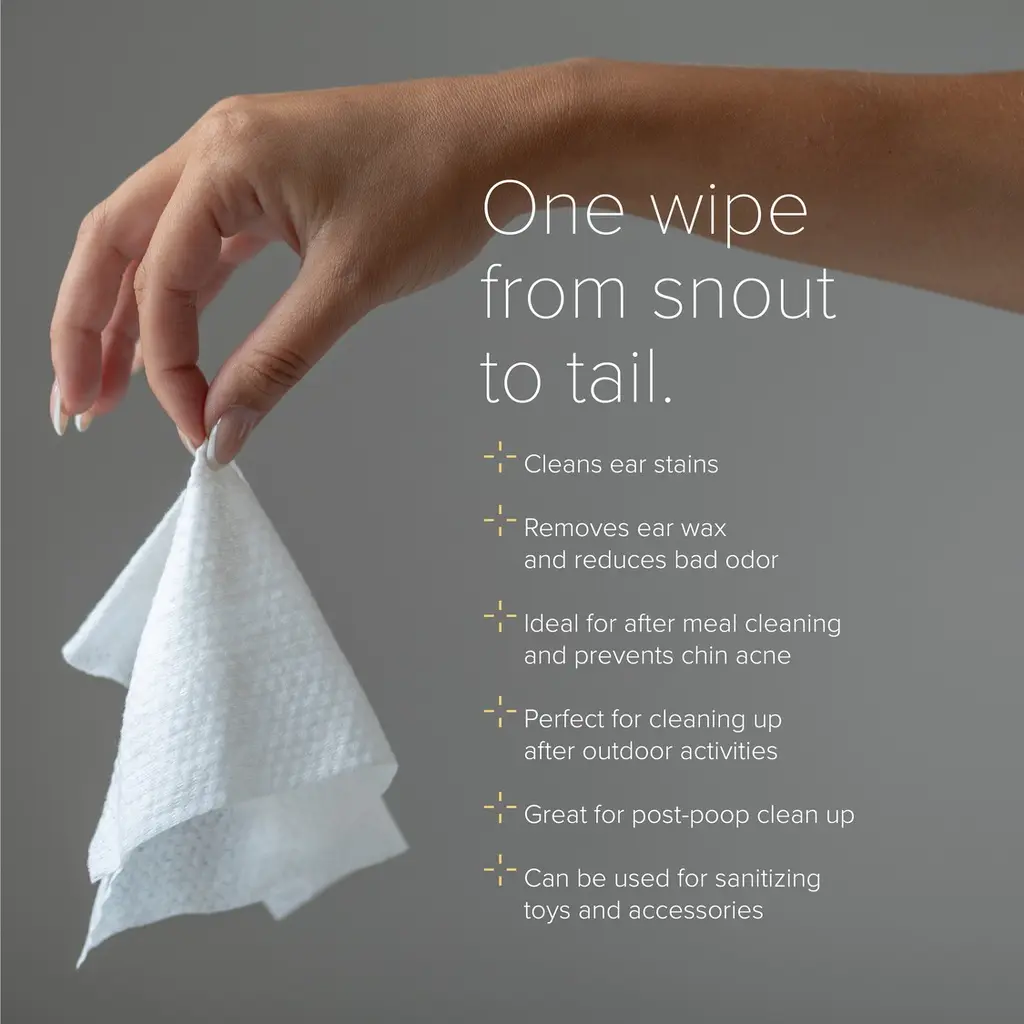 NurturePro AG+ Silver Pet Wet Wipes -Coconut (10 Sheets- Pack) - Min Order _ 6packs-Box (3).webp