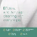 NurturePro AG+ Silver Pet Wet Wipes -Aloe Vera (10 Sheets- Pack) (6).webp