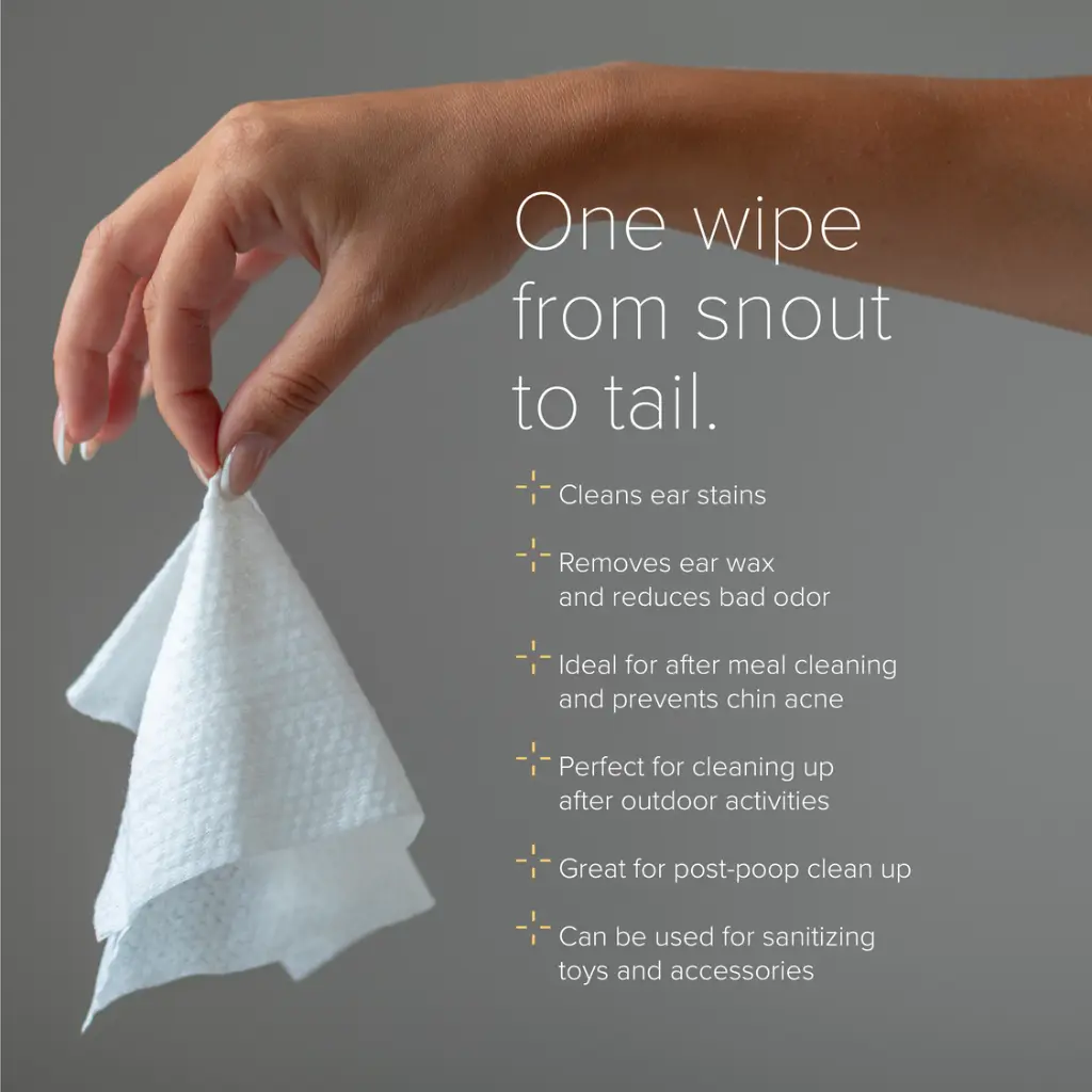 NurturePro AG+ Silver Pet Wet Wipes -Coconut (10 Sheets- Pack) - Min Order _ 6packs-Box (4).webp