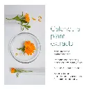 NurturePro AG+ Silver Pet Wet Wipes -Aloe Vera (10 Sheets- Pack) (3).webp