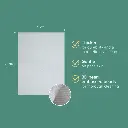 NurturePro AG+ Silver Pet Wet Wipes -Aloe Vera (10 Sheets- Pack) (7).webp