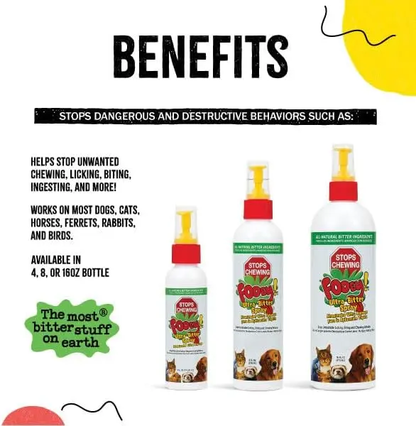 Synergy Labs Fooey! Ultra-Bitter Spray 473ml (3).webp