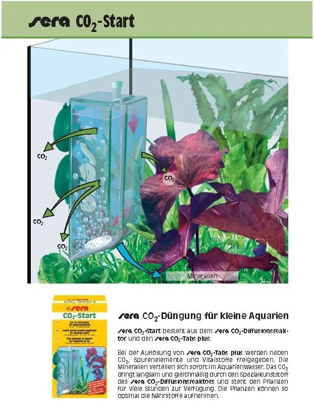 61RBDh0r+fL._AC_SY879_ (1).webp