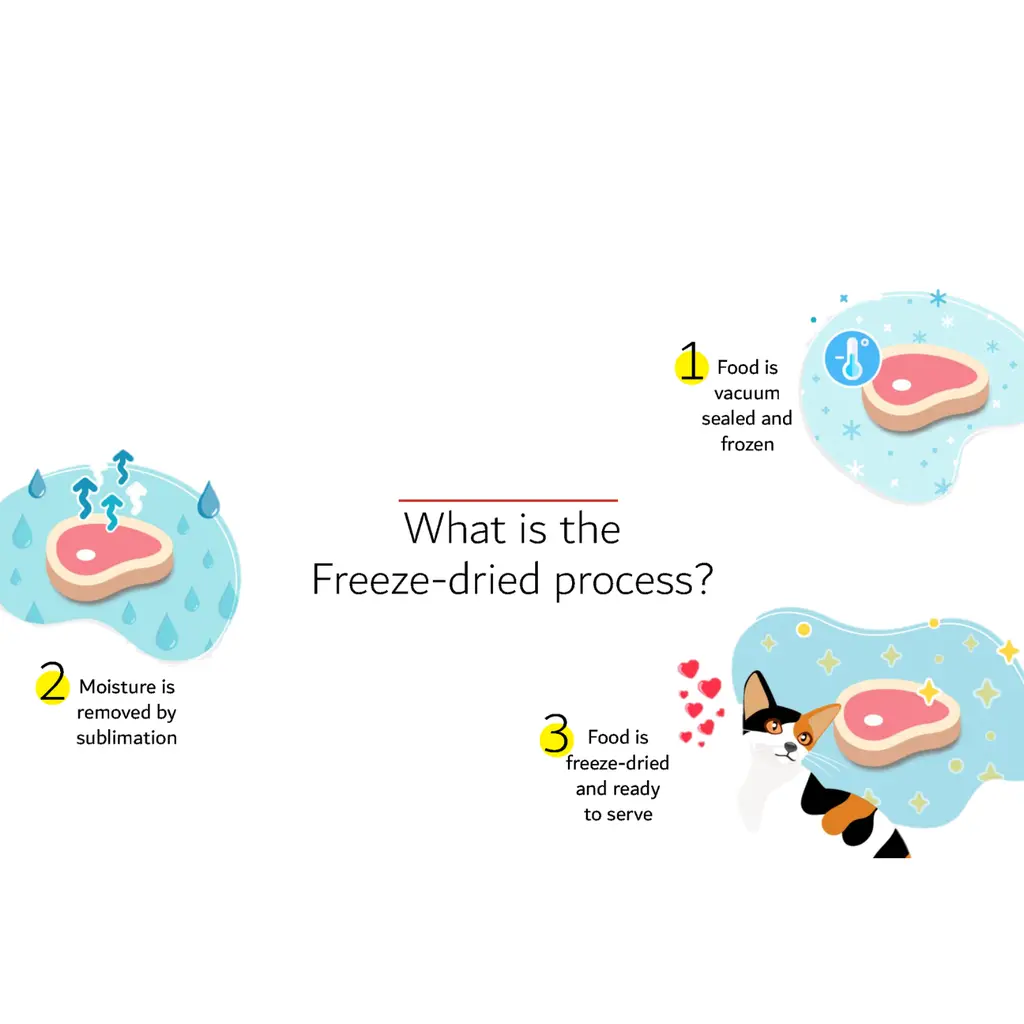 Happi Skippi Just Freeze-Dried Treat Chicken&Cat Grass for Cats and Dogs 10g (1).webp