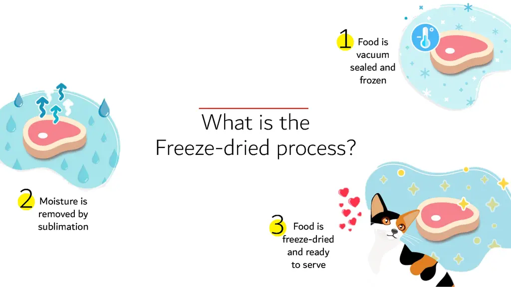 Happi Skippi Just Freeze-Dried Treat Duck&Carrot for Cats and Dogs 10g (1).webp