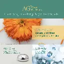 NurturePro AG+ Silver Pet Wet Wipes -Aloe Vera (100 Sheets- Pack) (2).webp