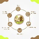 Pado Green And Gray Bone Tougher Toy (13x6.5x4cm) (1).webp