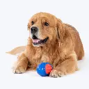 Pado Oval Blue And Red Tougher Toy (13.2x7.7x7.6cm) (3).webp