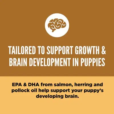 unnamed_bb973283-ca8e-45c6-9f8c-c64a938482c6 (1).webp