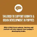 unnamed_bb973283-ca8e-45c6-9f8c-c64a938482c6 (1).webp