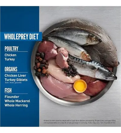 unnamed_4b9871a5-4e0c-42fd-9489-6dae29b3738f (1).webp