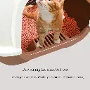 Pado Enclosed Cat Litter Box 50_41_39cm-Blue (3).webp