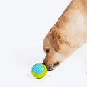 Pado Green And Sky Blue Tougher Toy (⌀8cm) (4).webp