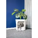 Moderna Hidden Planter Litter Box-WithPlant L 49.5 x W 49.5 x H 48.5 cm (1).webp
