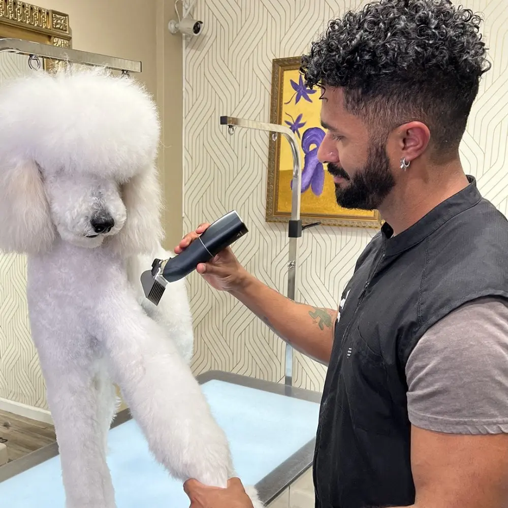 Andis beSPOKE Professional Clipper (1).webp