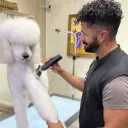 Andis beSPOKE Professional Clipper (1).webp