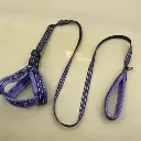 1699615567488-460x460 (1).webp