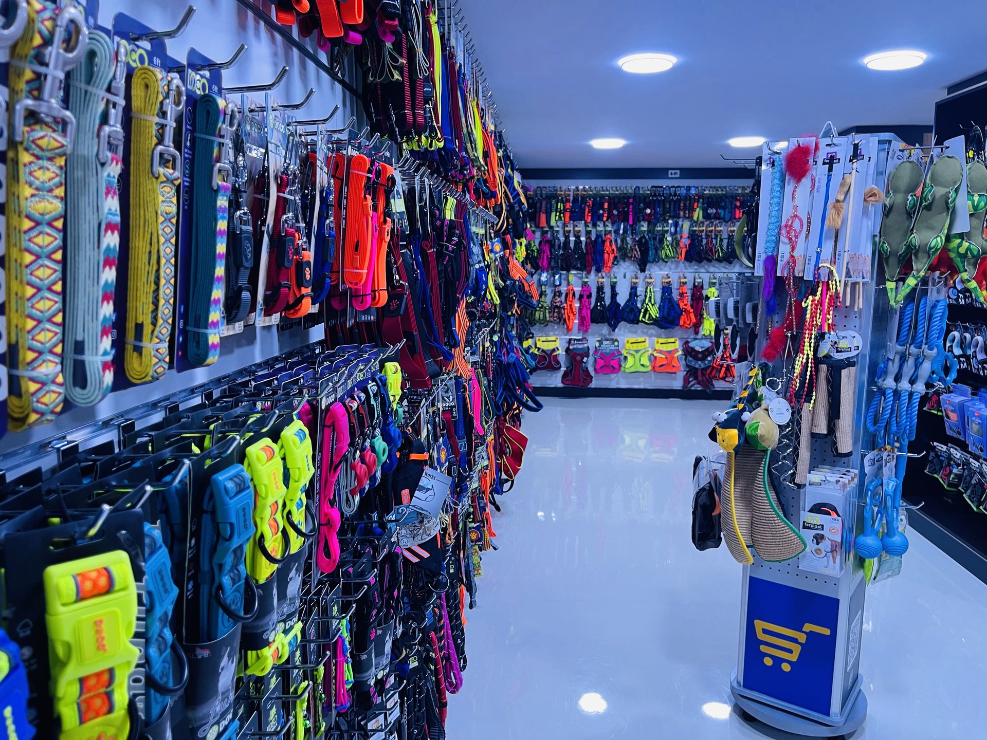 Colorful display of durable dog toys, stylish collars, and comfortable pet beds inside the Petsouq Al Quoz store.