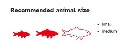 image_512 (3).webp