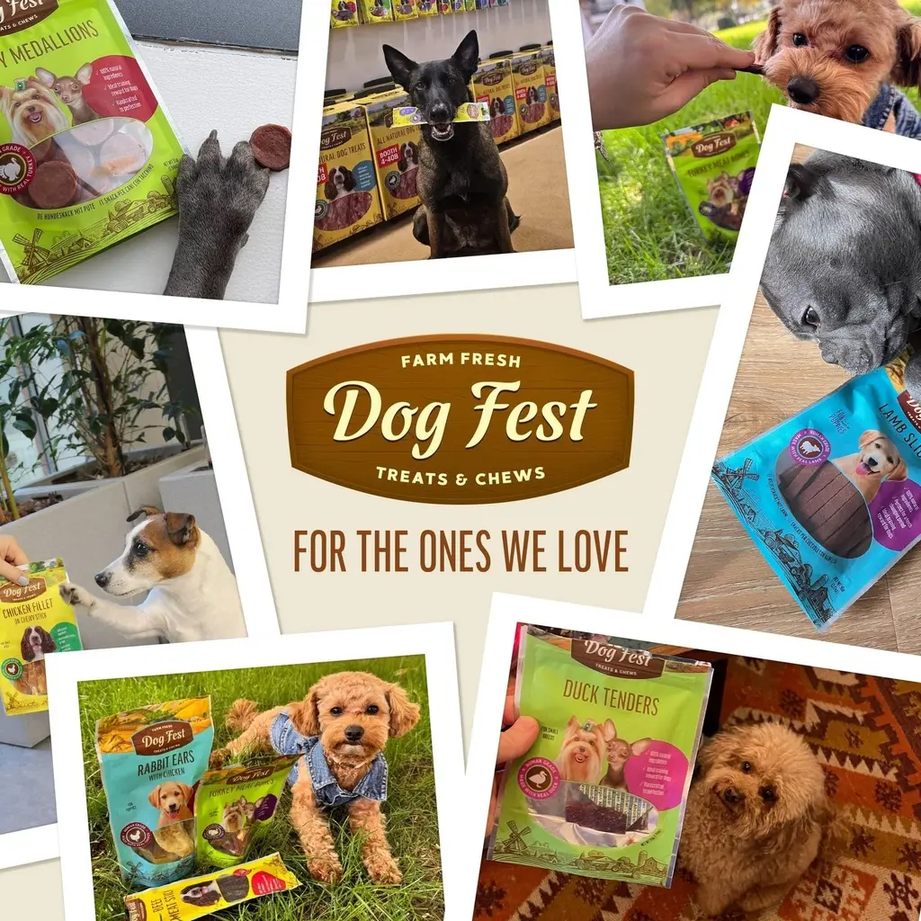 Dog Fest Beef Stick With Colostrum 45g[Weight - 45g] (4).webp