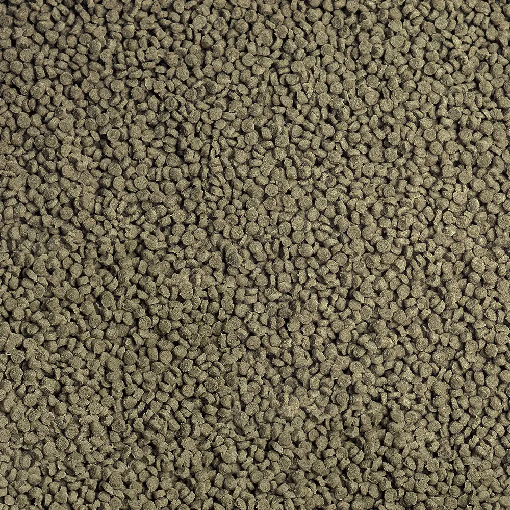sera_Granugreen_Nature_Detail.webp