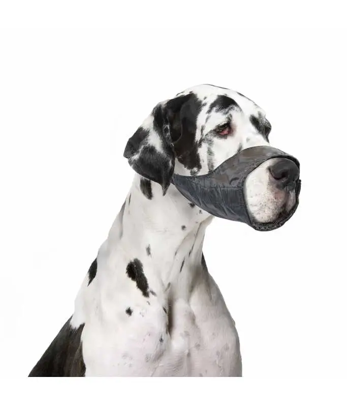 [LR4705132] Duvo+ Dog Muzzle Nylon[Dimension - 43-64cm].webp