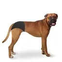 Duvo+ Dog Pants 24-31cm _ 32 - 39cm _ 40 - 49cmLength_ 40 - 49cm.webp