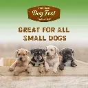 61HdRBtYuIL._AC_SX679_ (1).webp